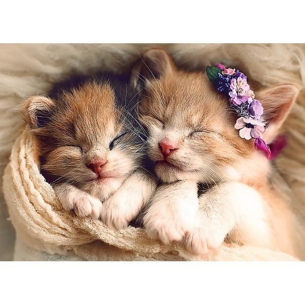 Un puzzle de calitate trebuie sa fie relaxant si distractiv Aranjarea unui puzzle constitue atat pentru copii cat si pentru adulti este o modalitate deosebita de dezvoltare a indemanarii spiritului de observatie si a concentrarii Trefl este o companie poloneza cu sediul central in regiunea Pomorze Incepand din 1985 compania a inceput sa produca puzzle-uri dezvolatand ulterior si segmentul de carti de joc si jocuri de societate In prezent Trefl este lider in Polonia si plina expansiune in 