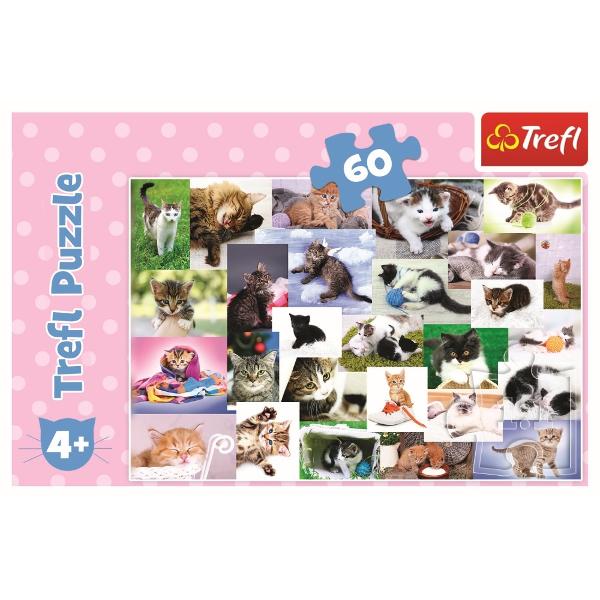 Un puzzle de calitate trebuie sa fie relaxant si distractivAranjarea unui puzzle constituie atat pentru copii cat si pentru adulti este o modalitate deosebita de dezvoltare a indemanarii spiritului de observatie si a concentrariiTrefl este o companie poloneza cu sediul central in regiunea Pomorze Incepand din 1985 compania a inceput sa produca puzzle-uri dezvoltand ulterior si segmentul de carti de joc si jocuri de societate In prezent Trefl este lider in Polonia si plina expansiune in 