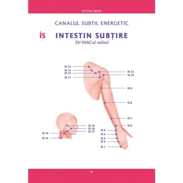 Presopunctura este o modalitate naturist&259; str&259;veche ce vizeaz&259; atingerea st&259;rii globale de armonie s&259;n&259;tate deplin&259; &351;i longevitate legendar&259; a fiin&539;ei umane Trupul uman este constituit dintr-o extraordinar de complex&259; re&355;ea de canale subtile energetice meridiane energetice sau nadi-uri în limba sanscrit&259; pe care sunt dispuse într-un mod armonios numeroase puncte-focar rezonatorii prin care fiin&355;a uman&259; 