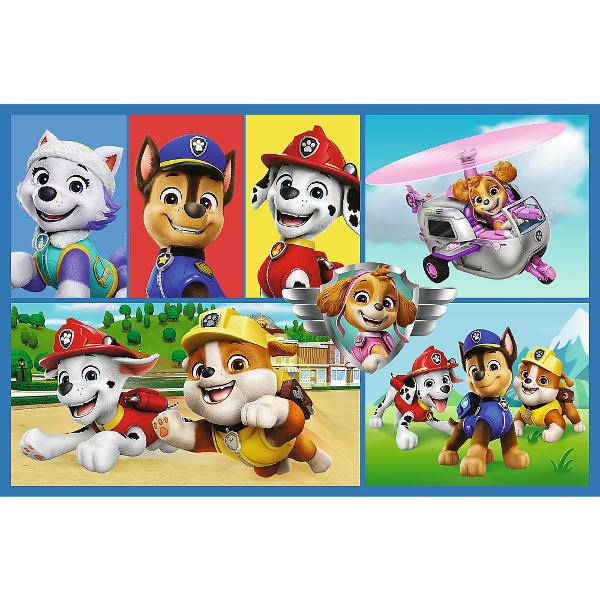 Un puzzle calitate trebuie sa fie relaxant si distractiv Aranjarea unui puzzle constitue atat pentru copii cat si pentru adulti este o modalitate deosebita de dezvoltare a indemanarii spiritului de observatie si a concentrarii Trefl este o companie poloneza cu sediul central in regiunea Pomorze Incepand din 1985 compania a inceput sa produca puzzle-uri dezvolatand ulterior si segmentul de carti de joc si jocuri de societate In prezent Trefl este lider in Polonia si plina expansiune in 