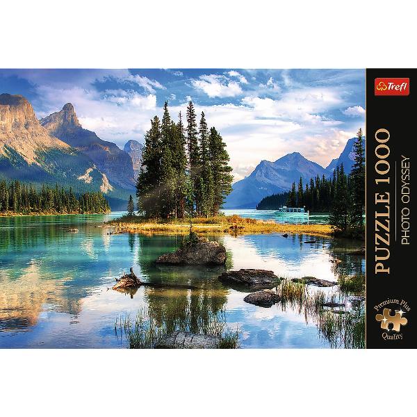 Un puzzle de calitate trebuie sa fie relaxant si distractiv Aranjarea unui puzzle constitue atat pentru copii cat si pentru adulti este o modalitate deosebita de dezvoltare a indemanarii spiritului de observatie si a concentrarii Trefl este o companie poloneza cu sediul central in regiunea Pomorze Incepand din 1985 compania a inceput sa produca puzzle-uri dezvolatand ulterior si segmentul de carti de joc si jocuri de societate In prezent Trefl este lider in Polonia si plina expansiune in 