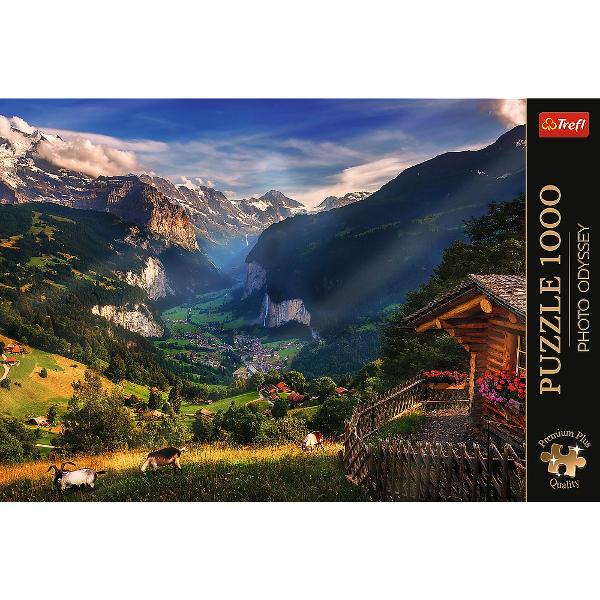 Un puzzle de calitate trebuie sa fie relaxant si distractiv Aranjarea unui puzzle constitue atat pentru copii cat si pentru adulti este o modalitate deosebita de dezvoltare a indemanarii spiritului de observatie si a concentrarii Trefl este o companie poloneza cu sediul central in regiunea Pomorze Incepand din 1985 compania a inceput sa produca puzzle-uri dezvolatand ulterior si segmentul de carti de joc si jocuri de societate In prezent Trefl este lider in Polonia si plina expansiune in 