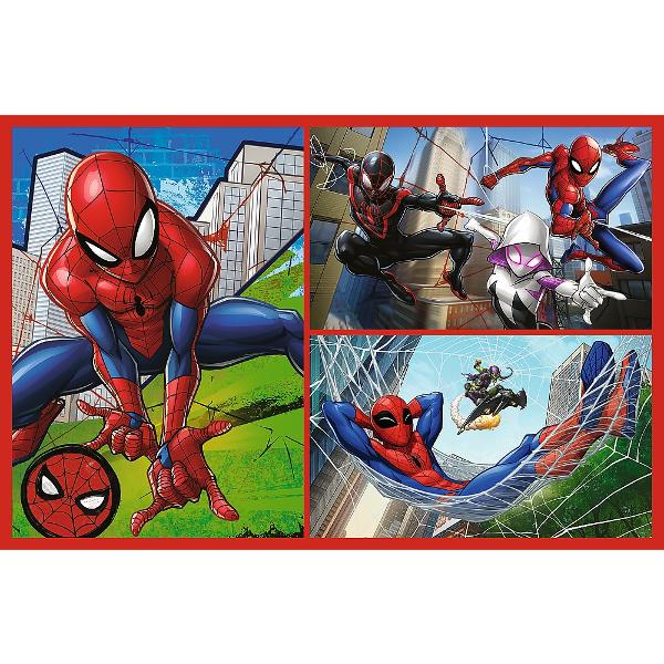 Un puzzle calitate trebuie sa fie relaxant si distractiv Aranjarea unui puzzle constitue atat pentru copii cat si pentru adulti este o modalitate deosebita de dezvoltare a indemanarii spiritului de observatie si a concentrarii Trefl este o companie poloneza cu sediul central in regiunea Pomorze Incepand din 1985 compania a inceput sa produca puzzle-uri dezvolatand ulterior si segmentul de carti de joc si jocuri de societate In prezent Trefl este lider in Polonia si plina expansiune in 