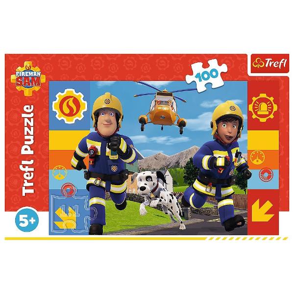 Un puzzle de calitate trebuie sa fie relaxant si distractiv Aranjarea unui puzzle constituie atat pentru copii cat si pentru adulti este o modalitate deosebita de dezvoltare a indemanarii spiritului de observatie si a concentrarii Trefl este o companie poloneza cu sediul central in regiunea Pomorze Incepand din 1985 compania a inceput sa produca puzzle-uri dezvoltand ulterior si segmentul de carti de joc si jocuri de societate In prezent Trefl este lider in Polonia si plina expansiune in 