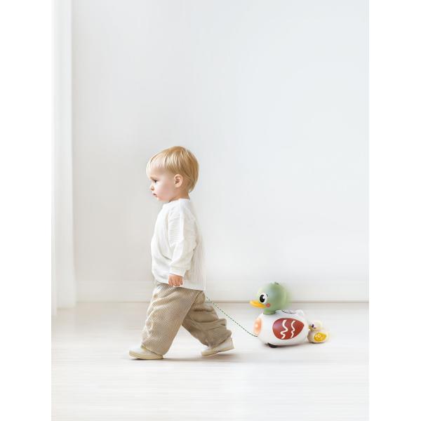 Jucarie interactiva de tras Familia De Ratuste conceputa speciala pentru bebelusi si copii mici care imbina joaca activa cu stimularea senzoriala Produsul include o ratusta mare prevazuta cu snur pentru tragere si o ratusta mica creand un set atractiv si prietenos pentru cei mici Jucaria este echipata cu functii muzicale si efecte sonore peste 20 de melodii si sunete contribuind la dezvoltarea auzului si a reactiilor copilului Miscarea in timpul deplasarii combinata cu luminile si 