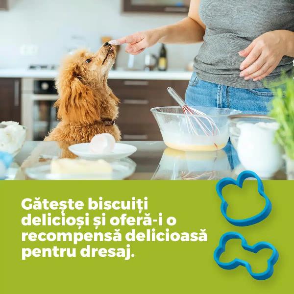 Hei micule explorator Vrei s&259; &537;tii cum s&259;-&539;i dresezi c&259;&539;elul Cu setul Academia C&259;&539;eilor de la ROOVI descoperi cum s&259;-l &icirc;nve&539;i pe prietenul t&259;u bl&259;nos s&259; fie educat &537;i cuminte&nbsp;Academia C&259;&539;eilor este un set experimental &537;i super distractiv creat special pentru micii posesori de c&259;&539;ei Setul con&539;ine o mul&539;ime de componente &537;i accesorii cu care se pot crea 