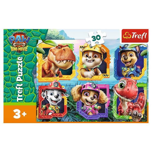 Un puzzle de calitate trebuie sa fie relaxant si distractiv Aranjarea unui puzzle este o modalitate deosebita de dezvoltare a indemanarii spiritului de observatie si a concentrarii Trefl este o companie poloneza cu sediul central in regiunea Pomorze Incepand din 1985 compania a inceput sa produca puzzle-uri dezvolatand ulterior si segmentul de carti de joc si jocuri de societate In prezent Trefl este lider in Polonia si plina expansiune in Europa Produsele Trefl sunt apreciate peste tot 