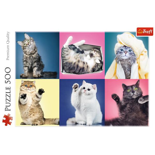 Un puzzle de calitate trebuie sa fie relaxant si distractiv Aranjarea unui puzzle constituie atat pentru copii cat si pentru adulti este o modalitate deosebita de dezvoltare a indemanarii spiritului de observatie si a concentrarii Trefl este o companie poloneza cu sediul central in regiunea Pomorze Incepand din 1985 compania a inceput sa produca puzzle-uri dezvoltand ulterior si segmentul de carti de joc si jocuri de societate In prezent Trefl este lider in Polonia si plina expansiune in 