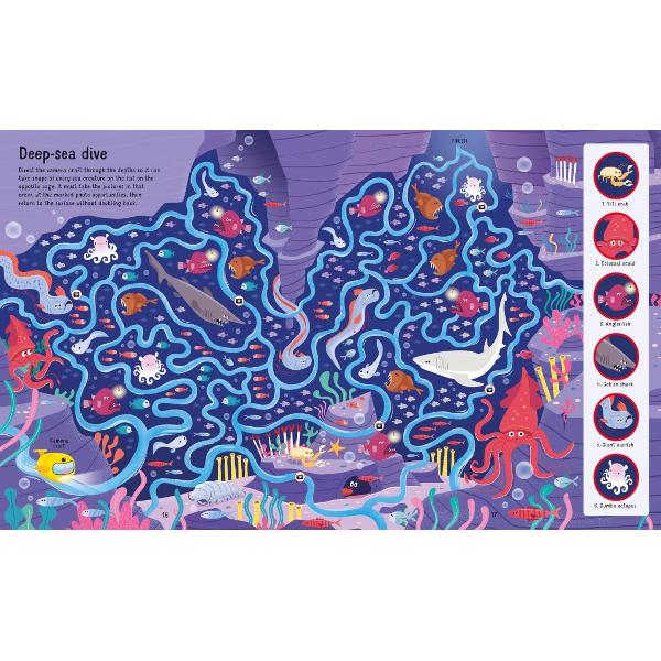 This delightful pack contains a beautifully illustrated jigsaw of a vibrant under-the-sea scene that features a maze to solve once its assembled It also includes a 32-page book with a selection of more marine mazes for children to have fun finding their way through 