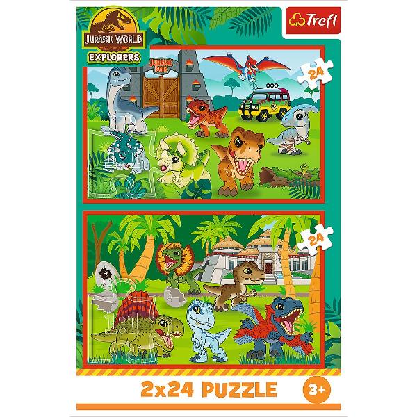 Un puzzle calitate trebuie sa fie relaxant si distractiv Aranjarea unui puzzle constitue atat pentru copii cat si pentru adulti este o modalitate deosebita de dezvoltare a indemanarii spiritului de observatie si a concentrarii Trefl este o companie poloneza cu sediul central in regiunea Pomorze Incepand din 1985 compania a inceput sa produca puzzle-uri dezvolatand ulterior si segmentul de carti de joc si jocuri de societate In prezent Trefl este lider in Polonia si plina expansiune in 