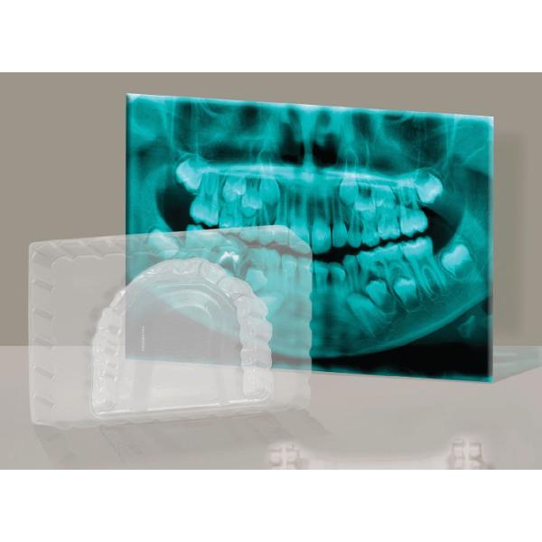 Set educational prima mea trusa de dentist Cine a spus ca mersul la dentist nu este distractiv Domnule Doctor pune-ti halatul si intra in clinica Cu multa imaginatie si joaca poti fi dentist poti analiza o radiografie crea mulaje si repara carii &mdash totul cu noua jucarie My 1st Dentist Kit Invata cel mai bun mod de a-ti peria dintii cum sa folosesti ata dentara si descopera stiinta din spatele igienei orale Nu rata acest kit pe care chiar si Zana Maseluta l-ar invidia 