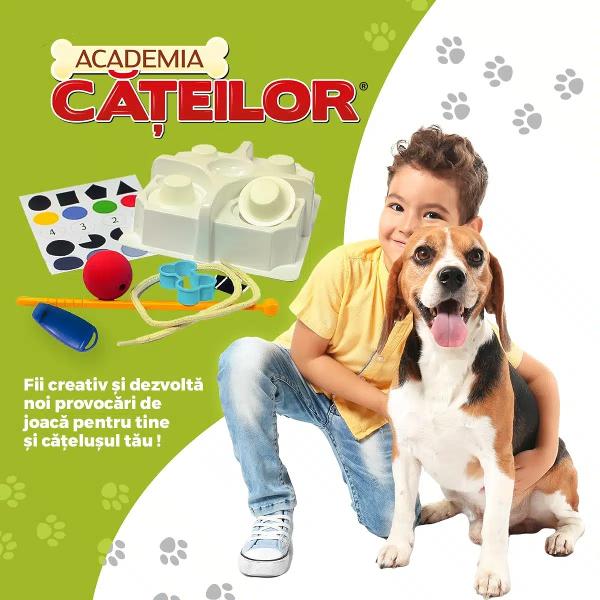 Hei micule explorator Vrei s&259; &537;tii cum s&259;-&539;i dresezi c&259;&539;elul Cu setul Academia C&259;&539;eilor de la ROOVI descoperi cum s&259;-l &icirc;nve&539;i pe prietenul t&259;u bl&259;nos s&259; fie educat &537;i cuminte&nbsp;Academia C&259;&539;eilor este un set experimental &537;i super distractiv creat special pentru micii posesori de c&259;&539;ei Setul con&539;ine o mul&539;ime de componente &537;i accesorii cu care se pot crea 