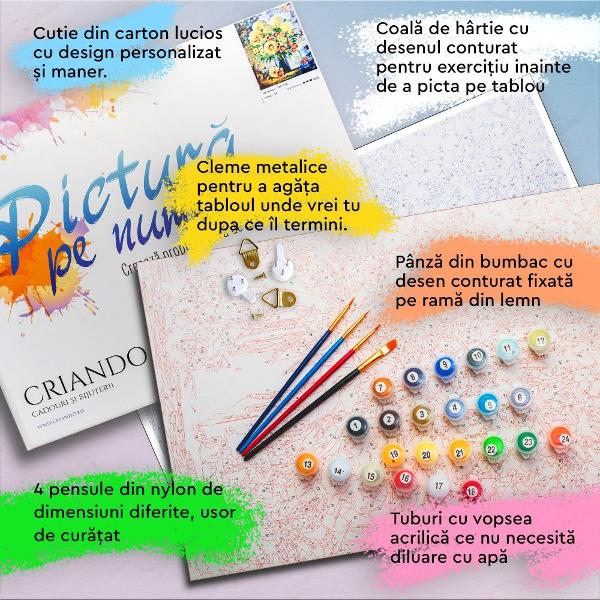 Vrei sa ai in casa un tablou pictat chiar de tine Sau cauti un cadou diferit pentru cineva drag Alege un set de Pictura pe NumereCe include setul&9679; panza din bumbac cu desen conturat de dimensiune 50x40 cm si&9679; intinsa pe rama din lemn;&9679; tuburi cu vopsea acrilica de inalta calitate ce nu necesita amestecare cu apa;&9679; 4 pensule de dimensuni diferite;&9679; o coala de hartie tip ciorna cu desenul conturat pentru exercitiu 