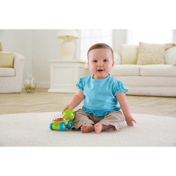 Dezvolta micutului tau functiile motorii fine Mingiutele sar vesele iar sunetele se aud voioase incurajand astfel copilul sa impinga si sa se tarasca alaturi de dragutele vehicule Acest pachet contine o jucarie in forma de testoasa
